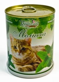 Растение BontiLand Живые витамины для кошек 410718 Мелисса