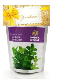 Растение Happy Plant Душица ориганум hp-14