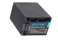 Аккумулятор BESTON BST-NP-FH100