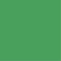 Colorama 2.72x11m Chroma Green CO133