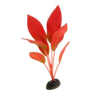 МЕДОСА Эхинодорус - шелковое растение Амазонка 30 см Red YM-12