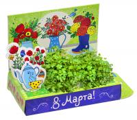 Растение Happy Plant Живая открытка Маки HPS-231