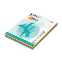 Бумага Maestro Color A4 80g/m2 250 листов RB01 110213