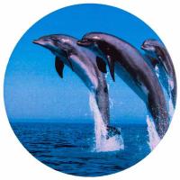 Аксессуар Skyway Дельфины R15 S06301011