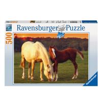 Пазл Ravensburger Красивые лошади 14347