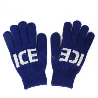 Теплые перчатки для сенсорных дисплеев iGloves D4 Ice