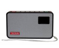 Радиоприемник Tecsun ICR-100