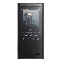 Плеер Sony NW-ZX300 Black