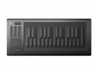 MIDI-клавиатура ROLI Seaboard RISE 25 Black