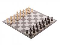 Игра Spin Master Шахматы классические 6038140