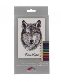 Цветные карандаши Феникс+ Fenix-Art Premium 12шт 32870