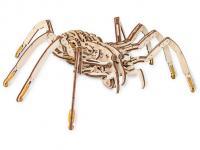 Сборная модель EWA Spider