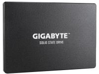 Жесткий диск 256Gb - GigaByte GP-GSTFS31256GTND