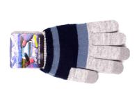 Теплые перчатки для сенсорных дисплеев Harsika 0218 Blue-Grey